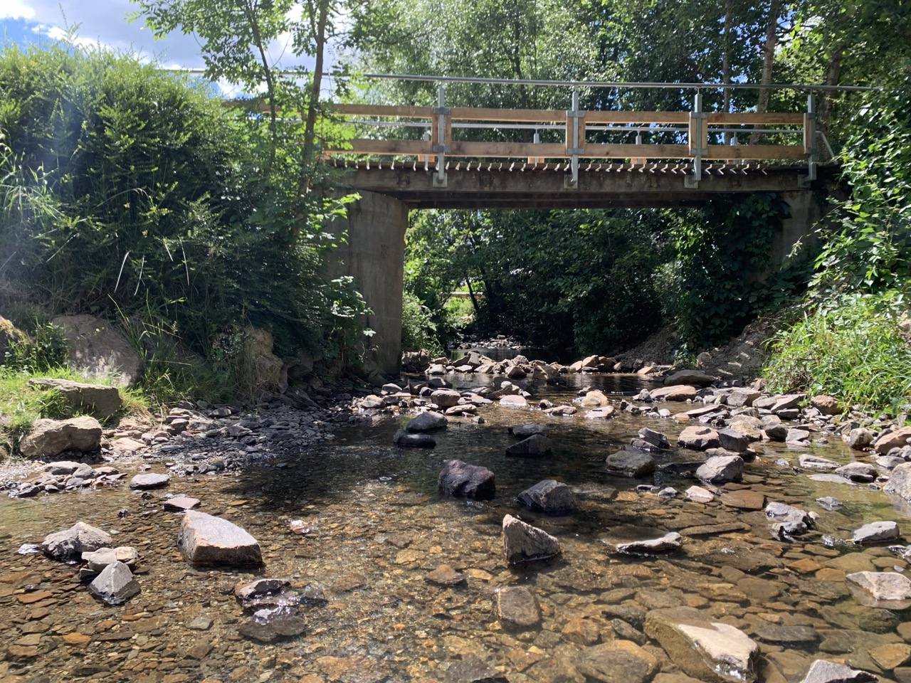 Natur im Hunsrück in der Nähe vom Campingplatz Harfenmühle